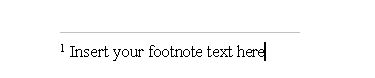 Footnote text insertion area
